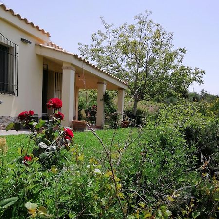 S'Orrosa Casa Vacanze Bifamiliare In Montagna Panorama Stupendo Sardegna Seùlo Kültér fotó
