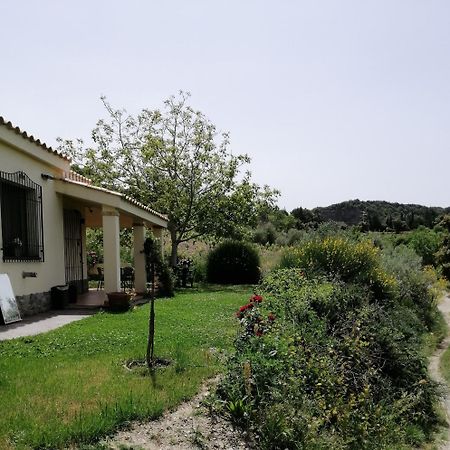 S'Orrosa Casa Vacanze Bifamiliare In Montagna Panorama Stupendo Sardegna Seùlo Kültér fotó
