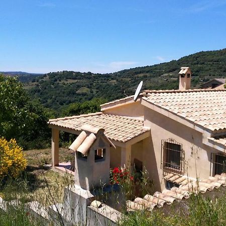 S'Orrosa Casa Vacanze Bifamiliare In Montagna Panorama Stupendo Sardegna Seùlo Kültér fotó