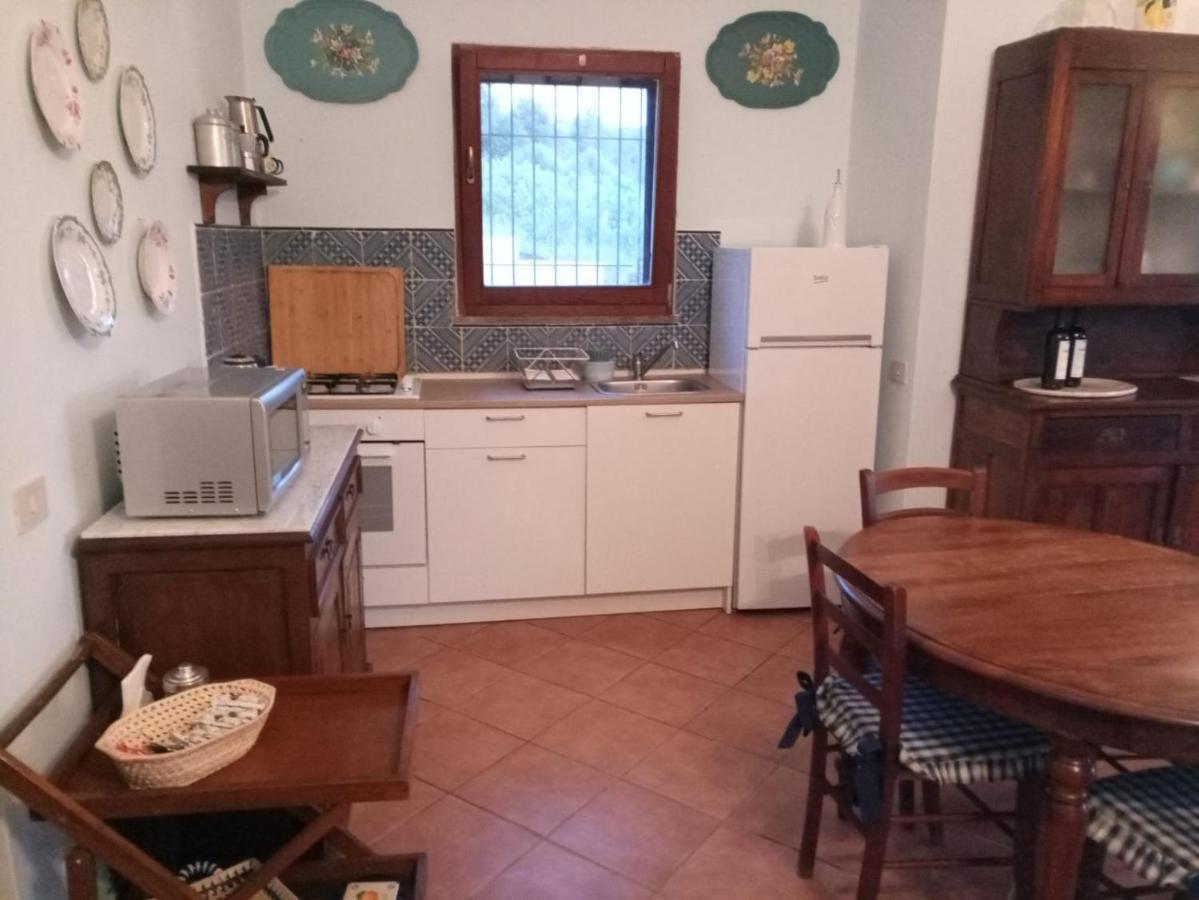 S'Orrosa Casa Vacanze Bifamiliare In Montagna Panorama Stupendo Sardegna Seùlo Kültér fotó