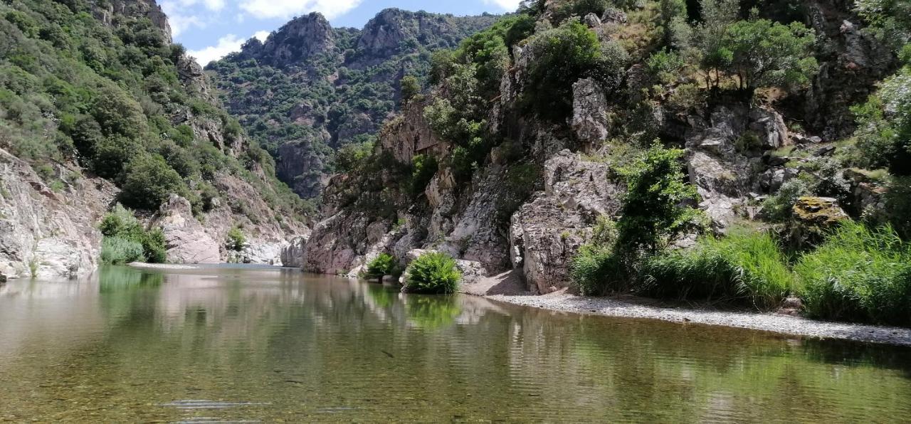 S'Orrosa Casa Vacanze Bifamiliare In Montagna Panorama Stupendo Sardegna Seùlo Kültér fotó
