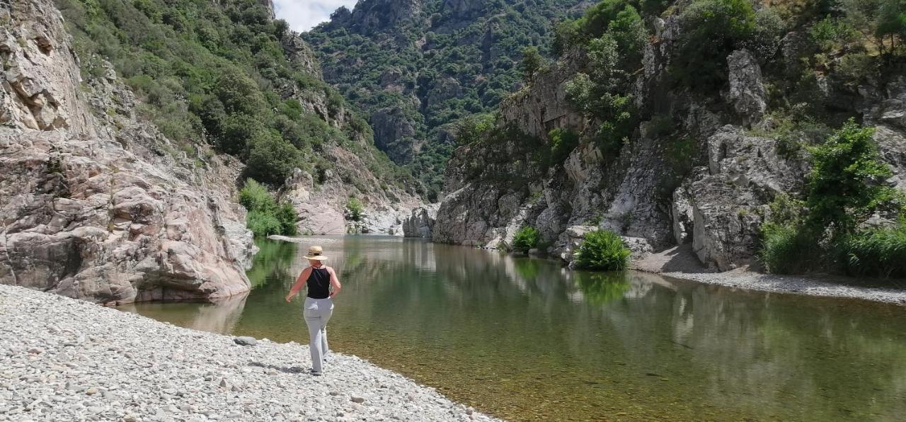 S'Orrosa Casa Vacanze Bifamiliare In Montagna Panorama Stupendo Sardegna Seùlo Kültér fotó