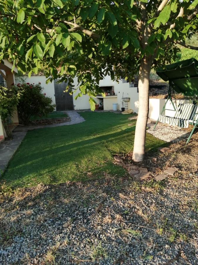 S'Orrosa Casa Vacanze Bifamiliare In Montagna Panorama Stupendo Sardegna Seùlo Kültér fotó