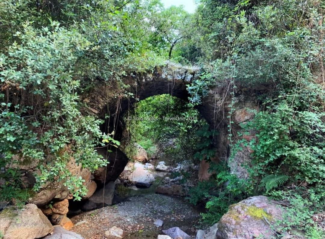 S'Orrosa Casa Vacanze Bifamiliare In Montagna Panorama Stupendo Sardegna Seùlo Kültér fotó