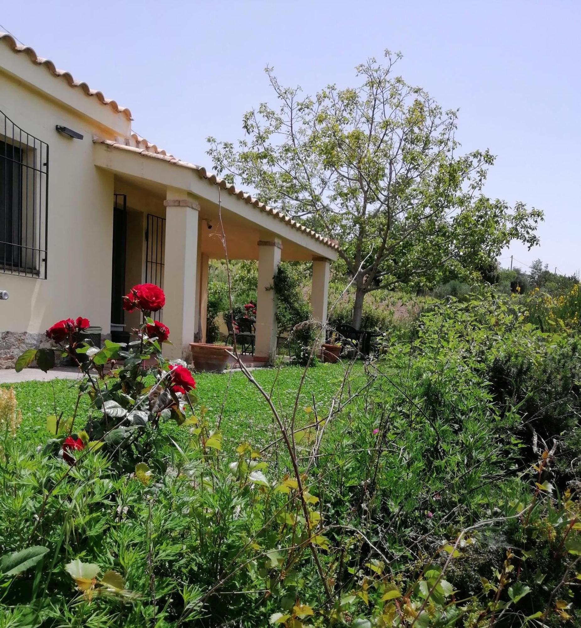 S'Orrosa Casa Vacanze Bifamiliare In Montagna Panorama Stupendo Sardegna Seùlo Kültér fotó