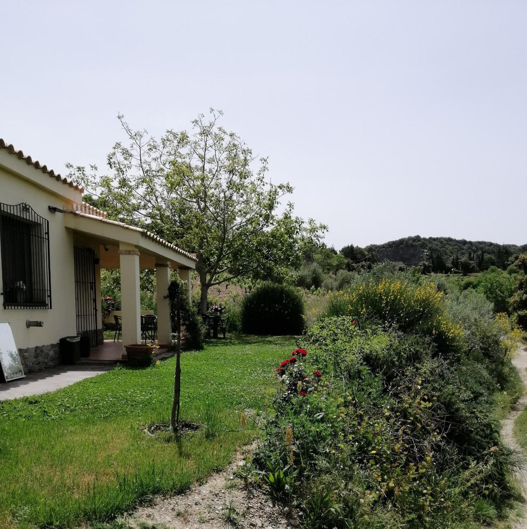 S'Orrosa Casa Vacanze Bifamiliare In Montagna Panorama Stupendo Sardegna Seùlo Kültér fotó