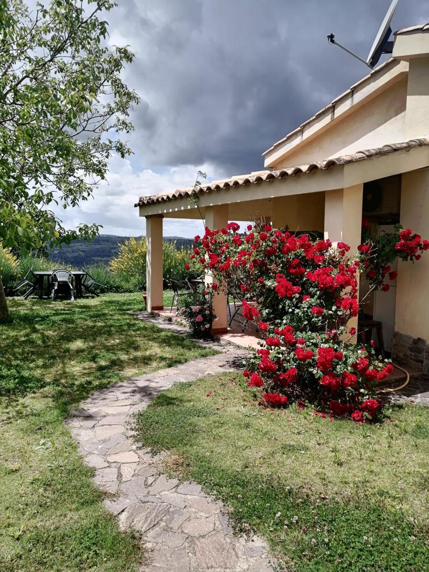 S'Orrosa Casa Vacanze Bifamiliare In Montagna Panorama Stupendo Sardegna Seùlo Kültér fotó