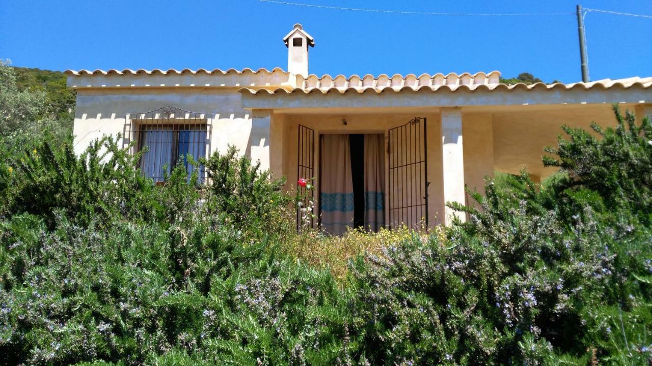 S'Orrosa Casa Vacanze Bifamiliare In Montagna Panorama Stupendo Sardegna Seùlo Kültér fotó