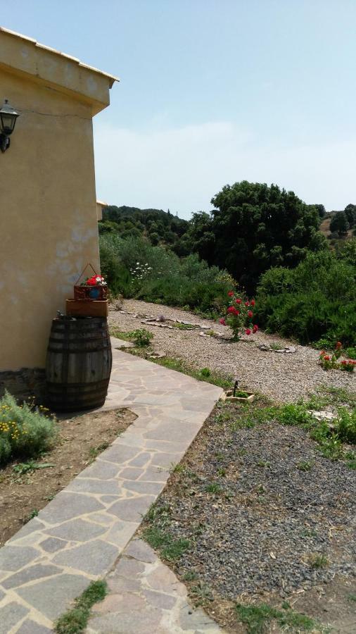 S'Orrosa Casa Vacanze Bifamiliare In Montagna Panorama Stupendo Sardegna Seùlo Kültér fotó