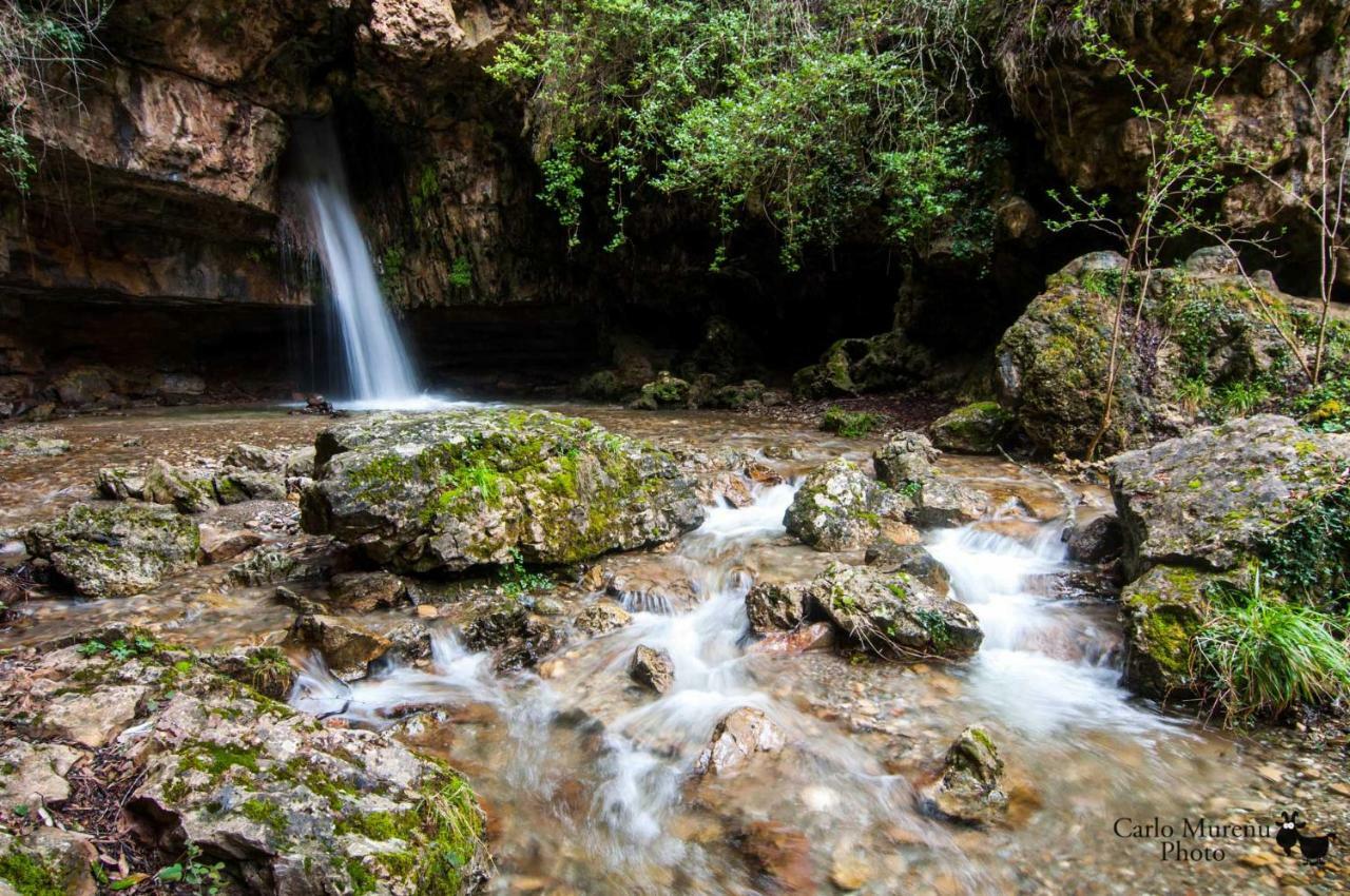 S'Orrosa Casa Vacanze Bifamiliare In Montagna Panorama Stupendo Sardegna Seùlo Kültér fotó