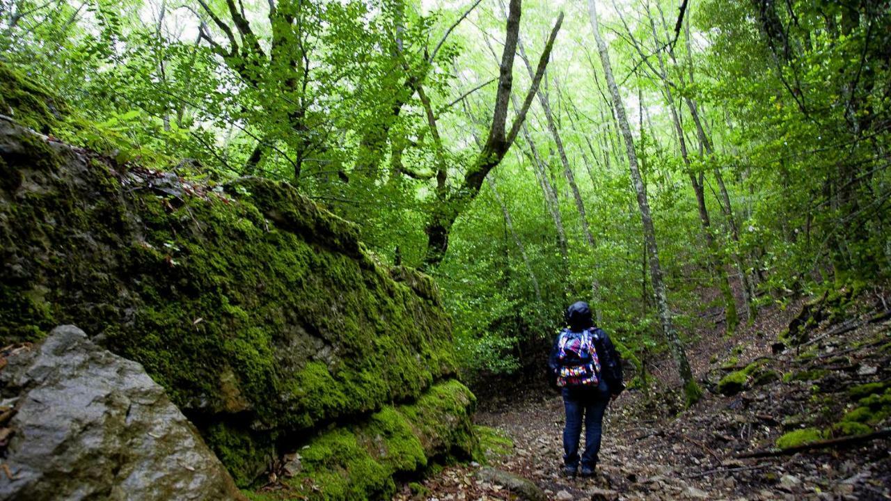 S'Orrosa Casa Vacanze Bifamiliare In Montagna Panorama Stupendo Sardegna Seùlo Kültér fotó