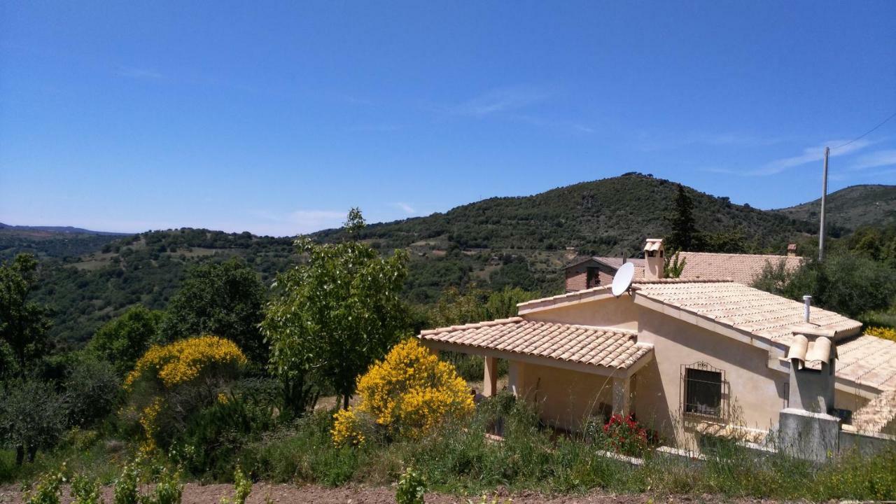 S'Orrosa Casa Vacanze Bifamiliare In Montagna Panorama Stupendo Sardegna Seùlo Kültér fotó