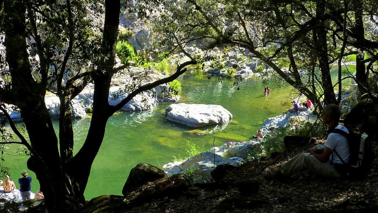 S'Orrosa Casa Vacanze Bifamiliare In Montagna Panorama Stupendo Sardegna Seùlo Kültér fotó