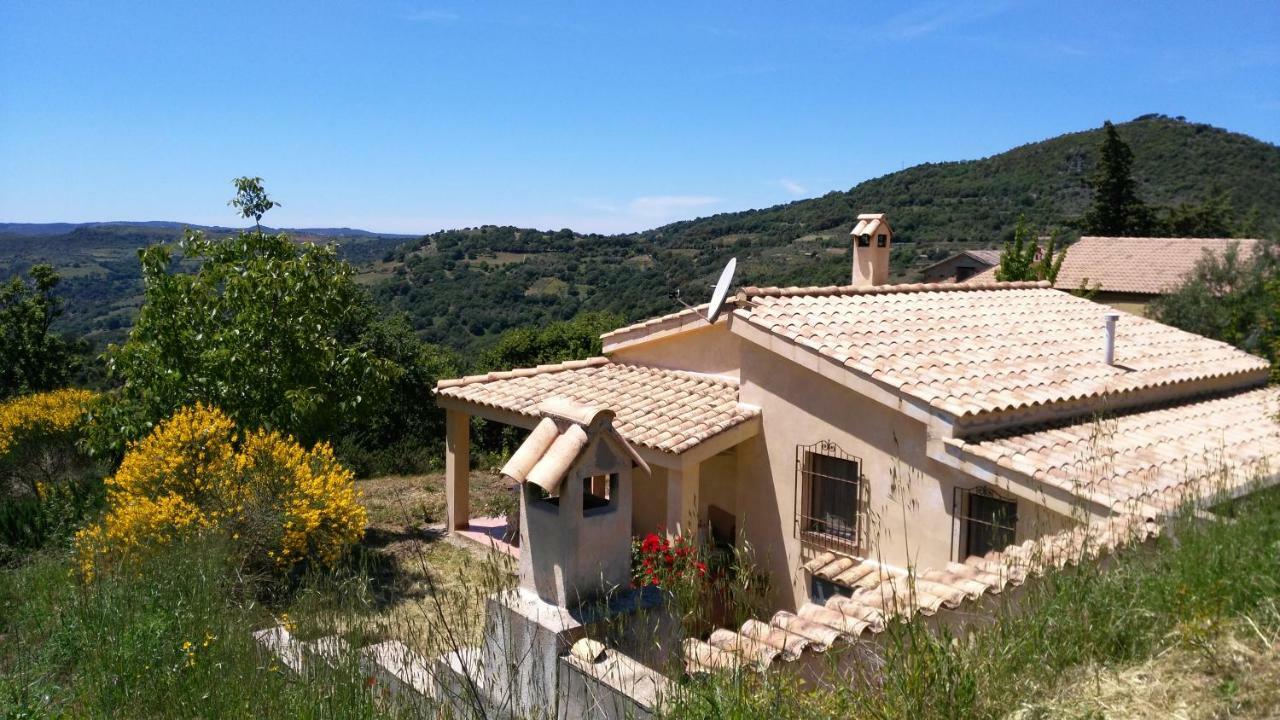 S'Orrosa Casa Vacanze Bifamiliare In Montagna Panorama Stupendo Sardegna Seùlo Kültér fotó
