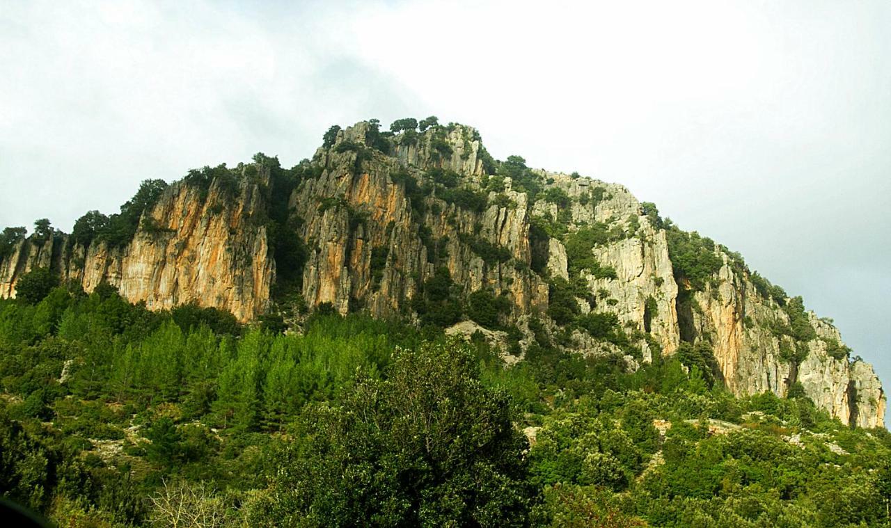 S'Orrosa Casa Vacanze Bifamiliare In Montagna Panorama Stupendo Sardegna Seùlo Kültér fotó