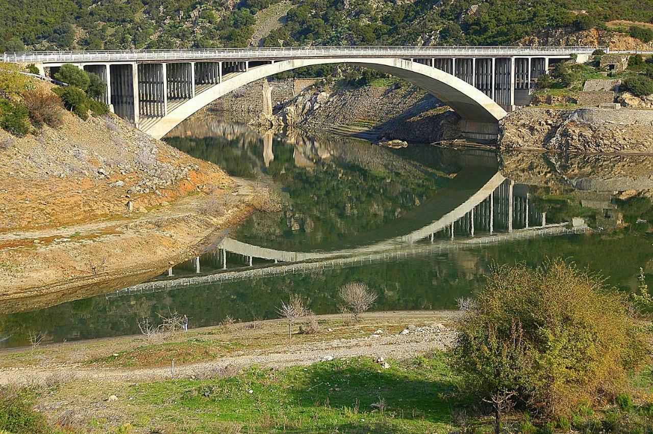 S'Orrosa Casa Vacanze Bifamiliare In Montagna Panorama Stupendo Sardegna Seùlo Kültér fotó