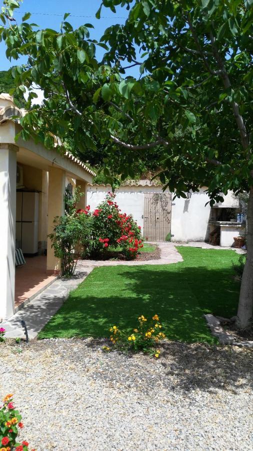 S'Orrosa Casa Vacanze Bifamiliare In Montagna Panorama Stupendo Sardegna Seùlo Kültér fotó